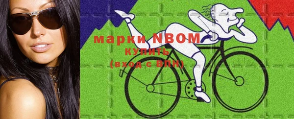 ешки Гусь-Хрустальный